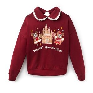 Disney World Holiday Sweater